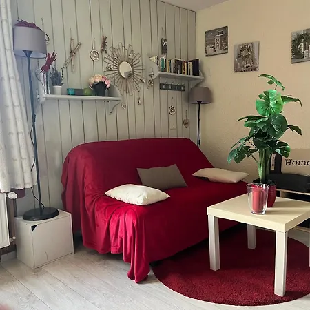 Chaleureux 4 Couchages Apartmán